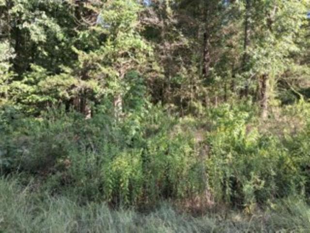 Land for sale in Ben Wheeler, Texas