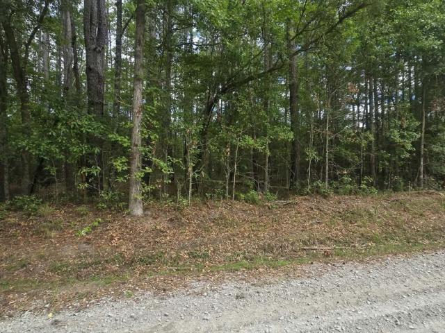 Land for sale in Cottageville, South Carolina