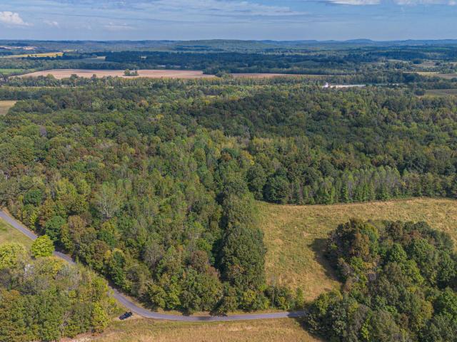 Farm for sale in Ledbetter, Kentucky