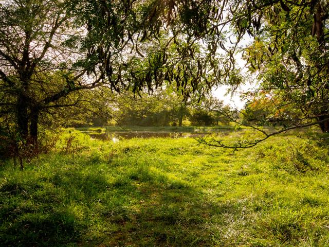 Land for sale in Jerico Springs, Missouri