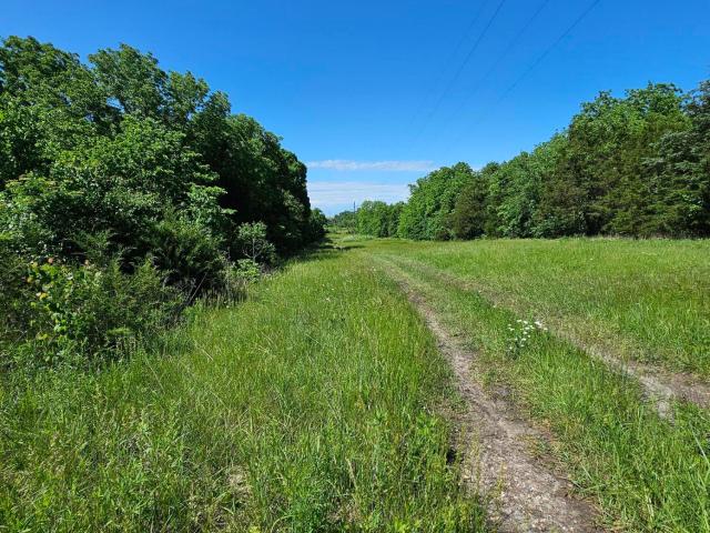 Land for sale in Bolivar
