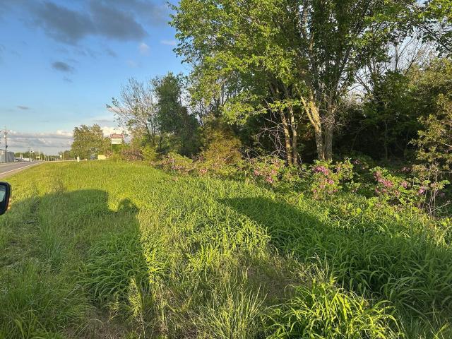 Land for sale in Duenweg, Missouri