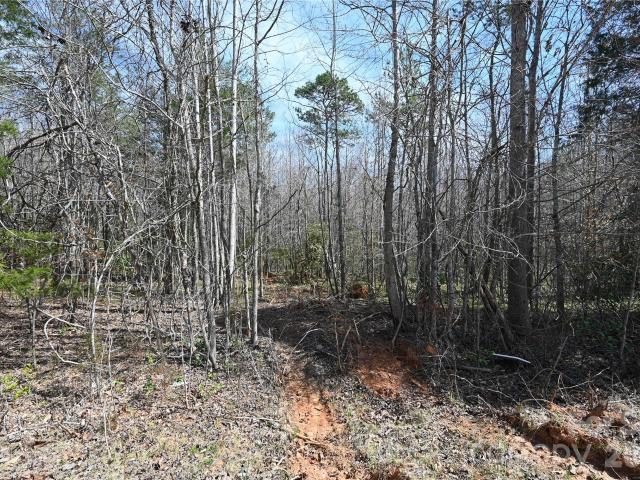 Land for sale in Blacksburg, South Carolina