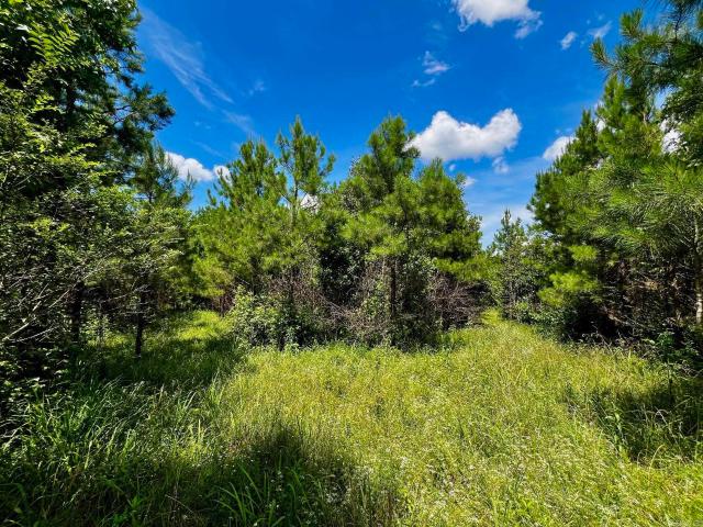 Land for sale in Little Rock