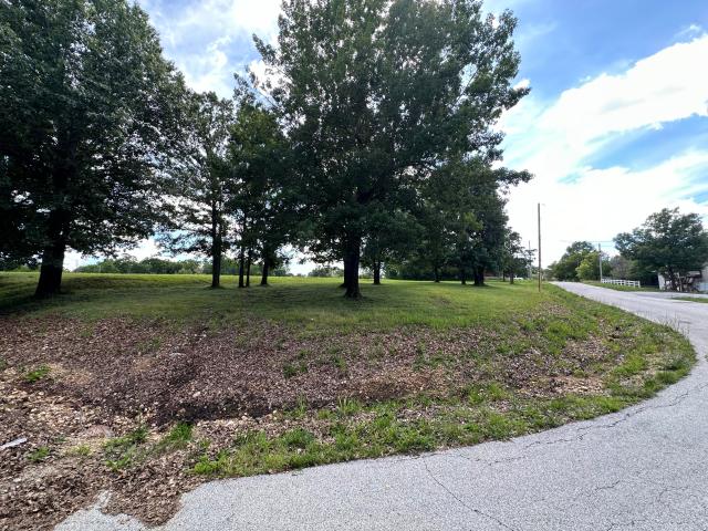 Land for sale in Buffalo, Missouri