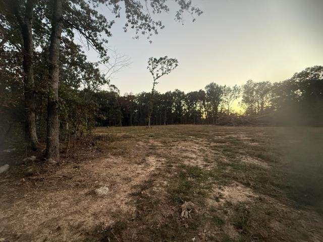 Land for sale in Fair Grove, Greene County