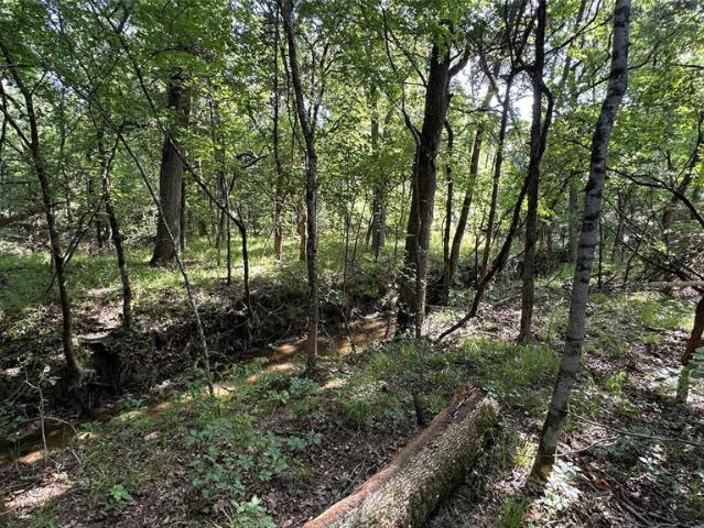 Land for sale in Sulphur Bluff, Texas