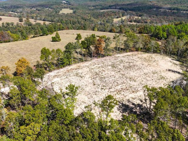 Land for sale in Ava, Douglas County