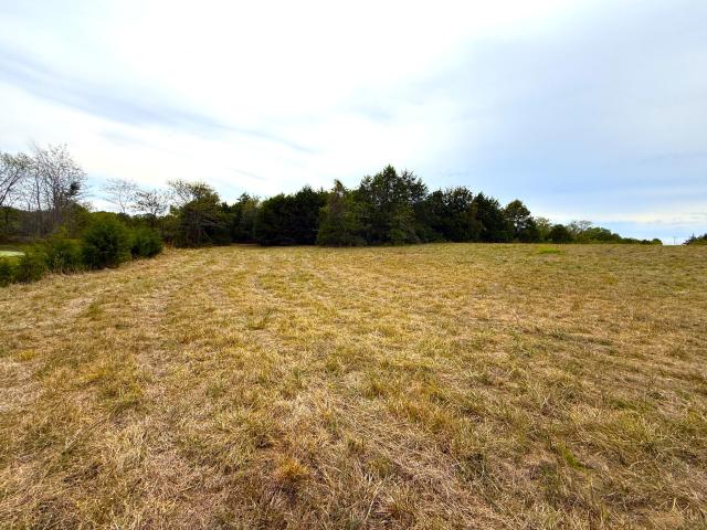 Land for sale in Barry County, Missouri