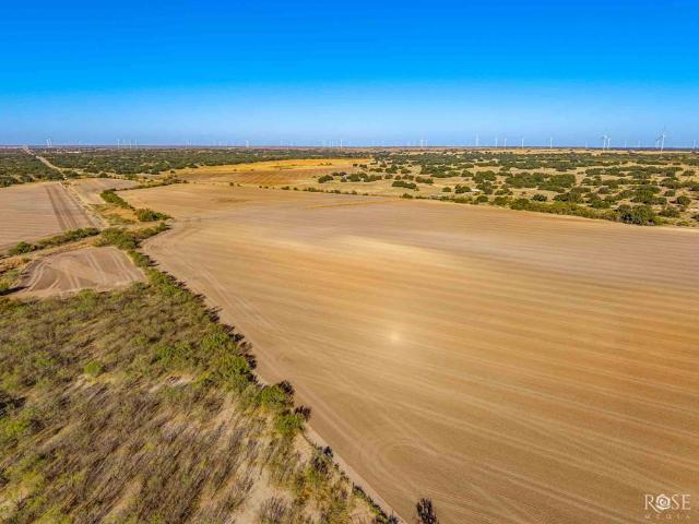 Land for sale in Eden, Concho County
