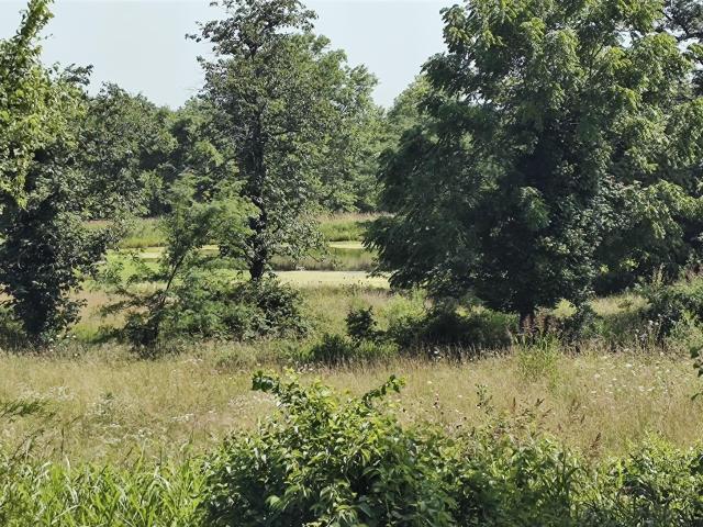 Land for sale in Bolivar, Missouri