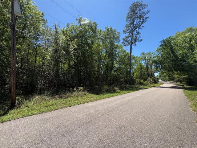 Land for sale in Kountze, Texas