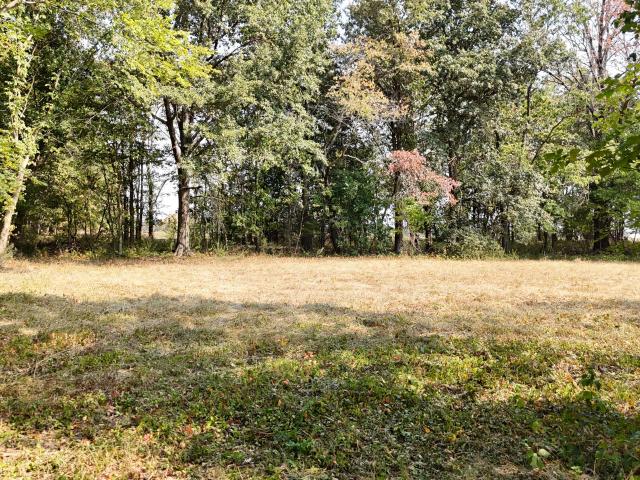 Land for sale in Bolivar