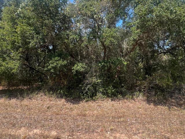 Land for sale in Sheridan, Colorado County