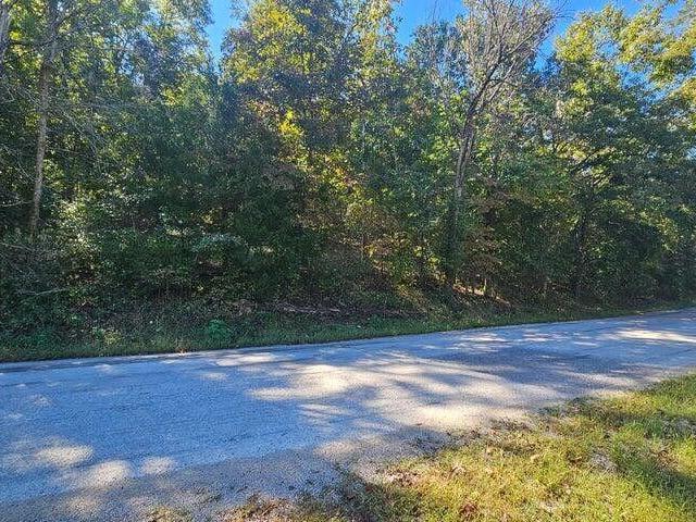Land for sale in Theodosia, Missouri