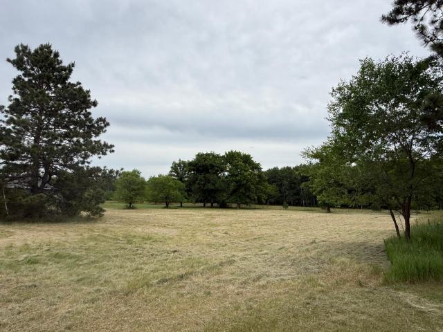 Land for sale in Morrison, Minnesota