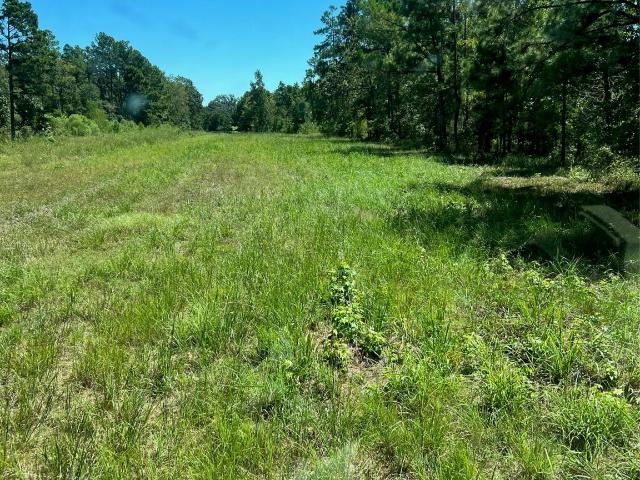Land for sale in Harrison, Texas