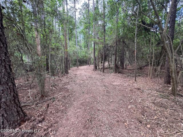 Land for sale in Osyka, Mississippi