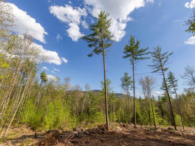 Land for sale in New Hampshire