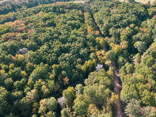 Land for sale in Stella, McDonald County