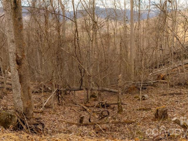 Land for sale in North Carolina