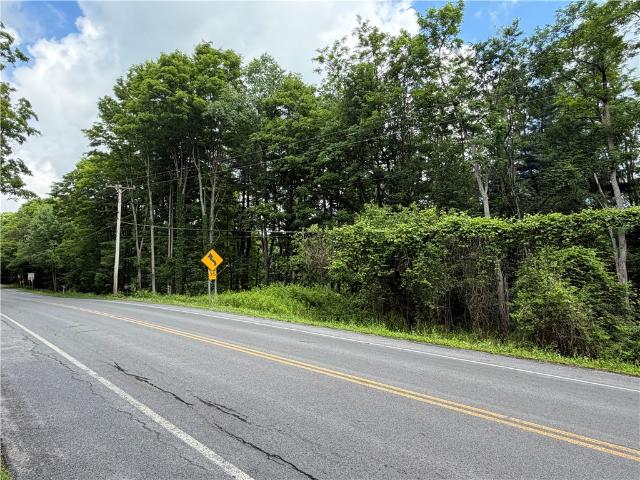 Land for sale in Dryden, New York