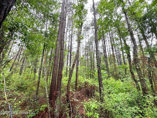 Land for sale in Magnolia, Mississippi