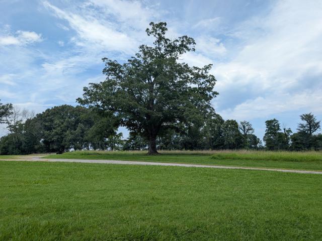 Land for sale in Grantsburg, Illinois