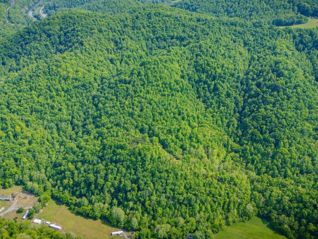 Land for sale in Virginia