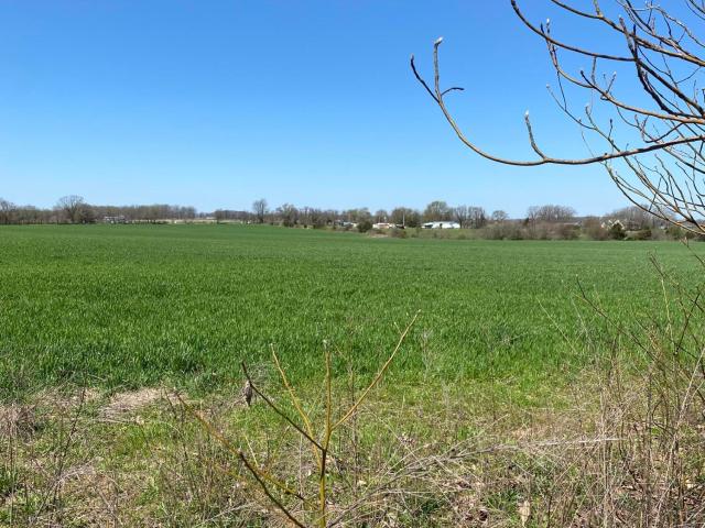 Land for sale in Cassville, Barry County