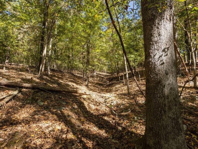 Land for sale in Golden City, Barry County