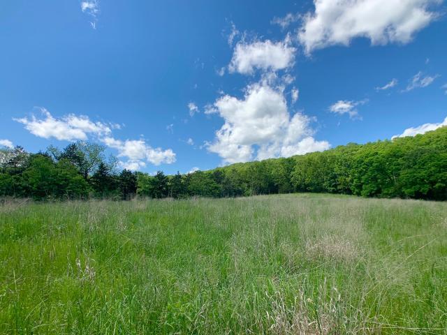 Land for sale in Barry, Missouri
