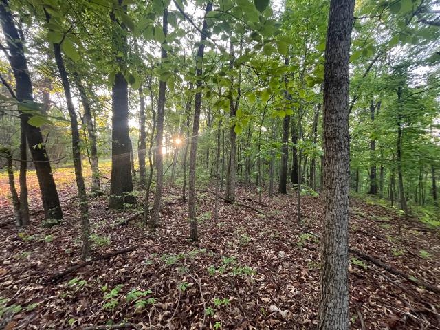 Land for sale in Barry, Missouri