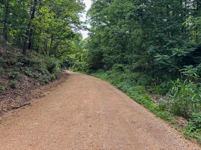 Land for sale in Washburn, Barry County