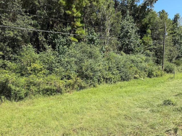 Land for sale in Fred, Texas
