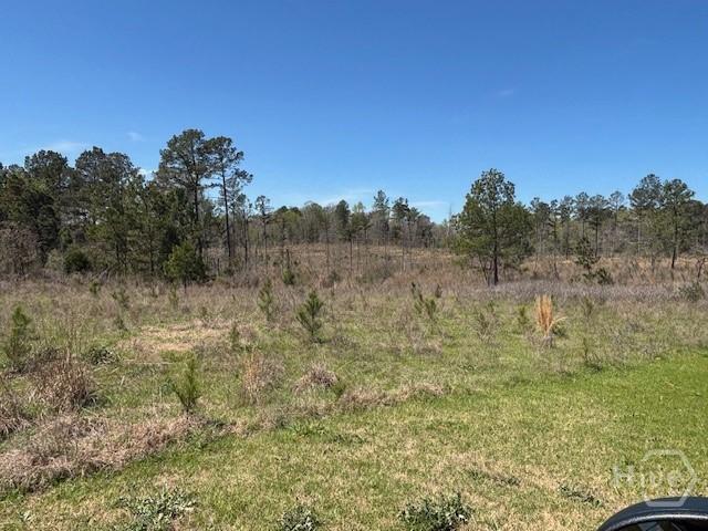 Land for sale in Arnoldsville, Georgia