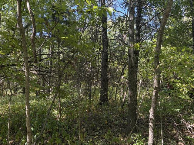 Land for sale in Elmer, Missouri