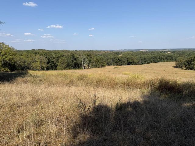 Land for sale in Luna, Gainesville
