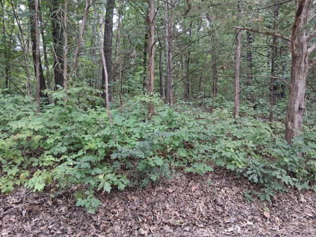 Land for sale in Barry, Missouri