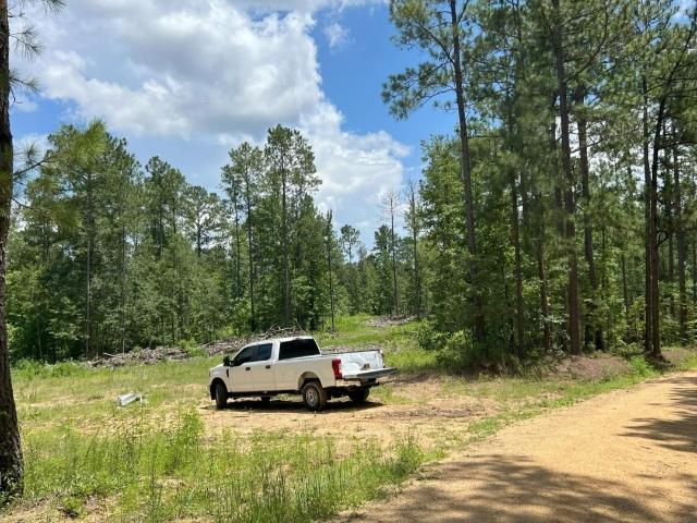Land for sale in Vincent, Alabama