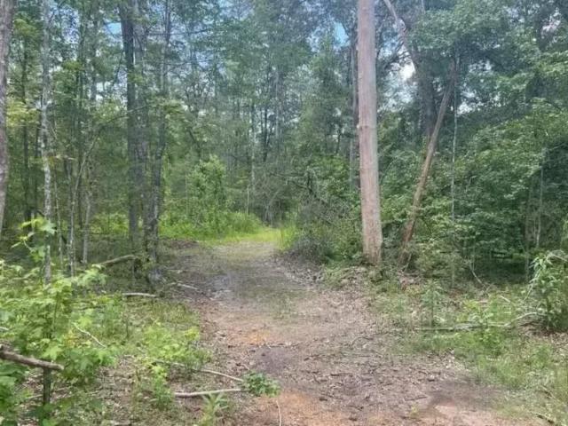 House for rent in Alabaster House for rent in Alabaster