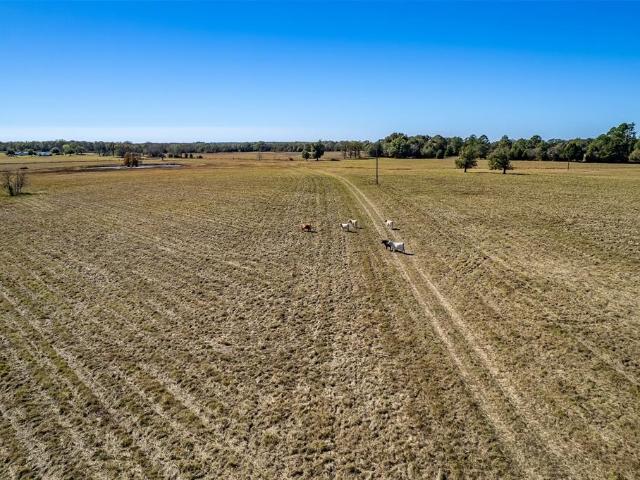 Land for sale in Wills Point, Texas