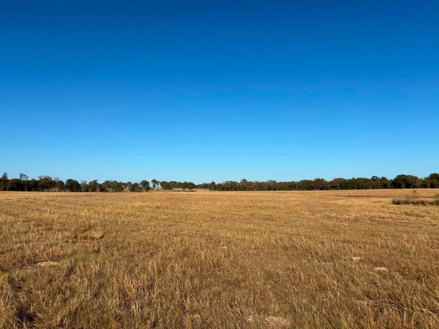Property for sale in Texas