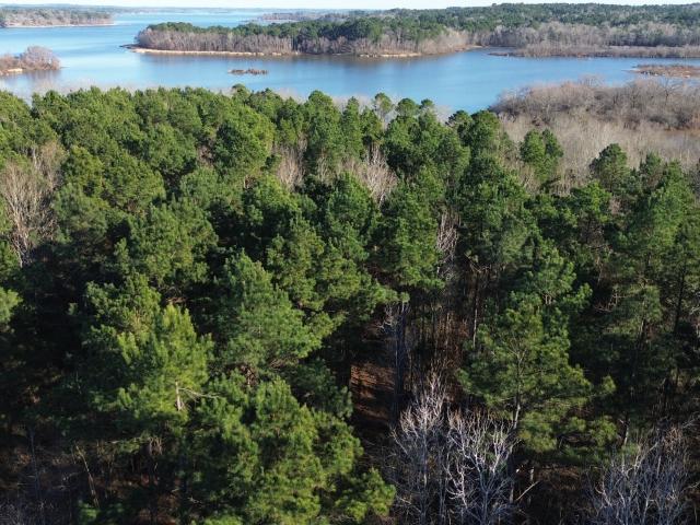 Land for sale in Henderson, Texas