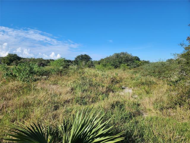 Land for sale in Francitas, Texas