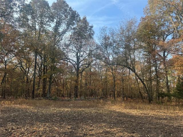 Land for sale in Annona, Texas