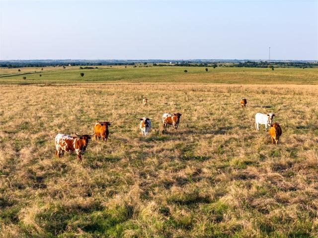 Land for sale in Sanger