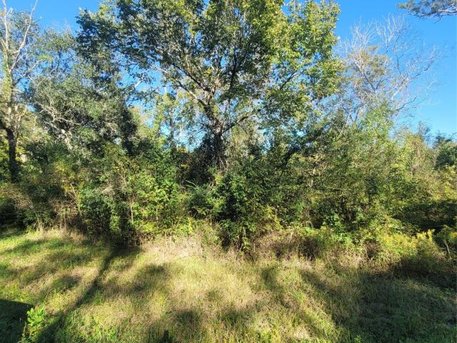 Land for sale in Chambers, Texas