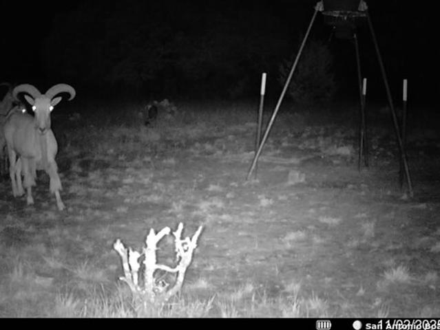 Farm for sale in Mills, Texas
