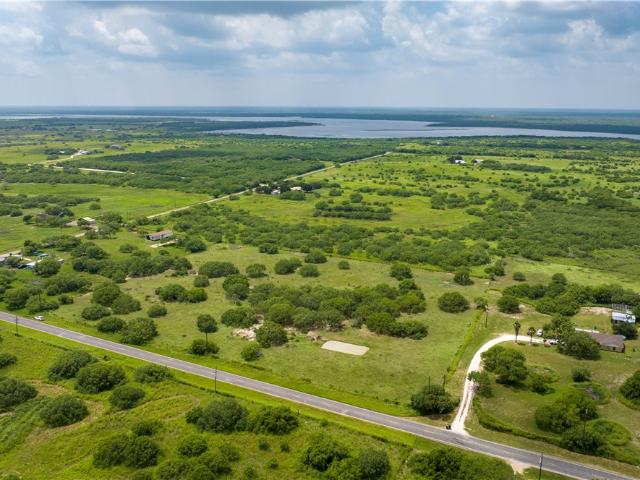 Land for sale in Riviera, Texas